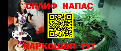 сатива Краснодар