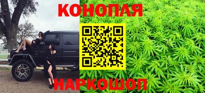 сатива Краснодар