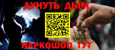 сатива Краснодар