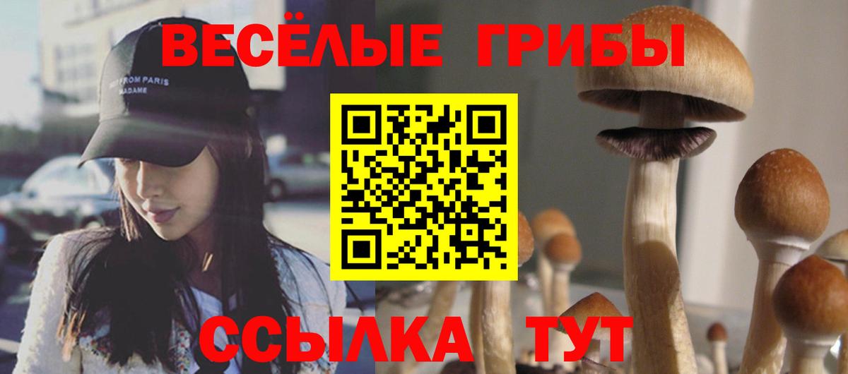 Елизово  Галлюциногенные грибы GOLDEN TEACHER  купить наркотики цена  Вход с VPN  Псилоцибиновые грибы Psilocybine cubensis 